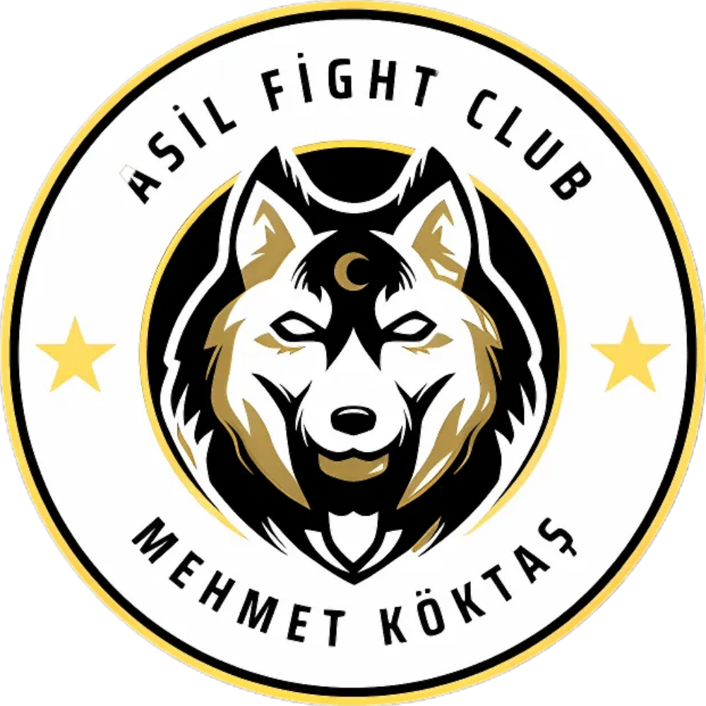 Bize Ulaşın | Asil Fight Club